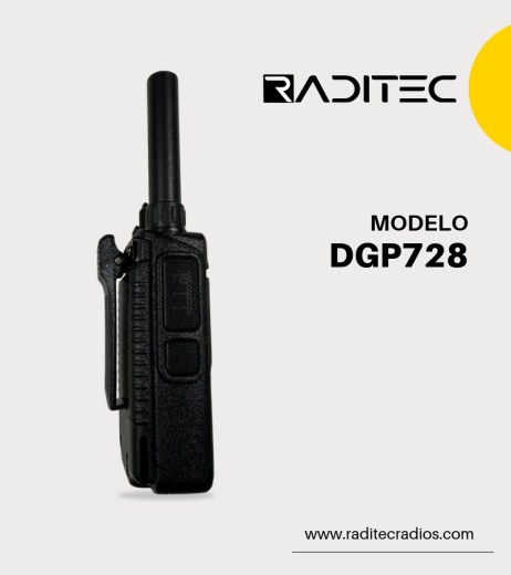 DGP728 (2)